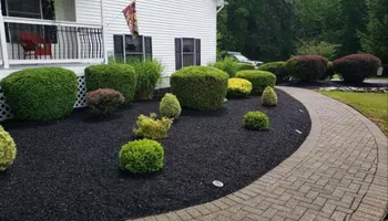 Tree Removal for T&S Tree Care LLC in Portland, OR