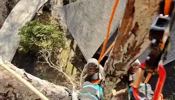 Tree Removal for Complete Care in Cumberland Gap, TN