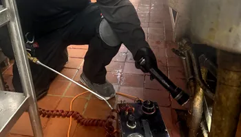 Residential Pest Control for Burger Pest Elimination in Miami, FL