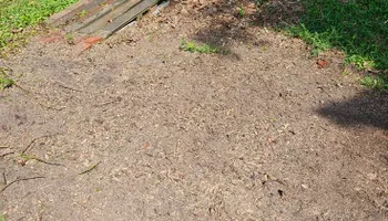 Stump Grinding for Anchor & Grind Stump in Chesapeake, VA