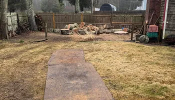 Tree Removal for Robery's Tree Service in West Wareham, MA