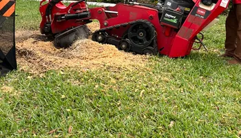 Tree Removal for TREE BOYS in Ruskin, FL