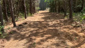 Land Clearing for A.P Land Management in Atlanta, Ga