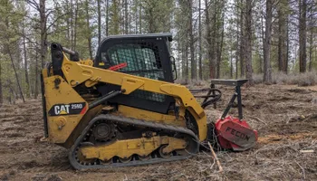 Tree Removal for Bailey's Cutting LLC in Bend, Oregon