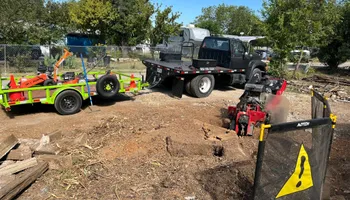 Tree Removal for Oakley’s Stump ‘N Grind in Leander, TX