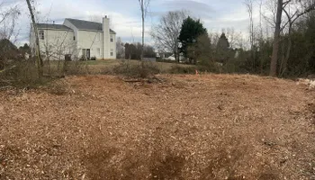 Stump Removal for J&K Stump Grinding in Detroit, MI
