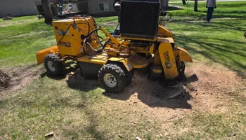 Stump Removal for Mad Dust Stump Grinding in Howard County, MD
