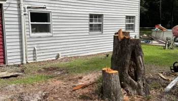 Tree Removal for Alford’s Tree and Stump Services LLC in Lake City, FL