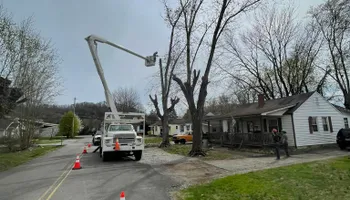 Tree Removal for Lucky’s Tree Removal and Landscape Services in Knoxville, TN