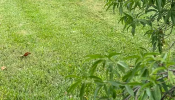 Lawn Maintenance for Legends Lawn Care in Johnson City, TN