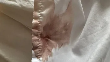 Residential Cleaning for A+ Cleaning and Services LLC in Deep Creek Lake, MD 