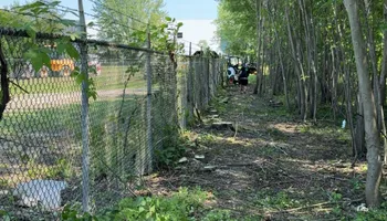 Tree Removal for Fransen's Tree Service  in Freeport, IL