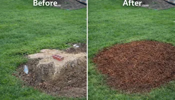 Tree Removal for Stump Removal and Daughters in Aurora, CO