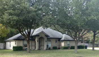 Tree Removal for Top Notch Tree Experts in Orange Park, FL