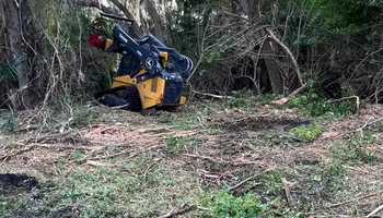 Tree Removal for TREE BOYS in Ruskin, FL