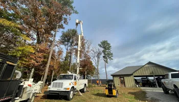 Tree Removal for Ross Family Tree Service LLC  in Hohenwald, TN