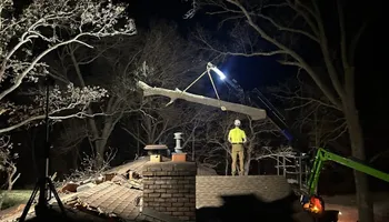 Tree Removal for Down To Earth Tree Service in Red Wing,  Minnesota