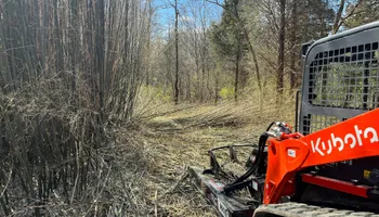 Land Clearing for Taylormade Land Service LLC in Hopkins County, KY