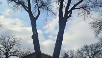 Snow Removal  for K and Z Tree Care in Isanti County, MN