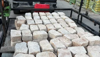 Fall Clean Up for Estrada All Pro Lawn Service in Auburndale, Florida