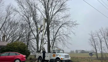 Tree Removal for Ross Family Tree Service LLC  in Hohenwald, TN