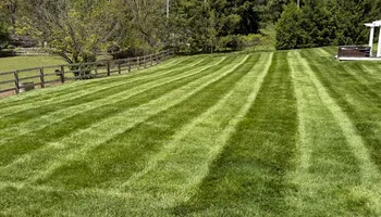 Lawn Care and Maintenance for Sneed & Co LLC in Kokomo, IN