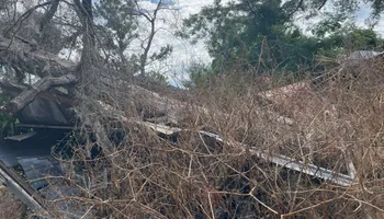 Land Clearing & Demolition for Ewc Land Clearing and more in Lake Park, GA