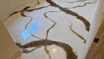 Carpet for Superior Flooring & Epoxy  in Colorado Springs, CO