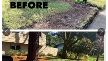 Tree Removal for T&S Tree Care LLC in Portland, OR