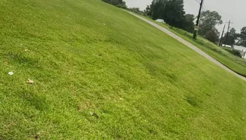 Hydroseeding for Holland Hydroseeding LLC in Columbia, MS