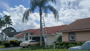 Tree Removal for ASAP Tree Service in Sebastian, FL