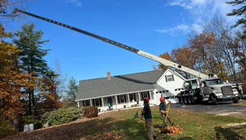Tree Removal for Abair Tree Service in Weare, NH