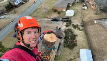 Tree Trimming for Pinedown LLC in Cherokee County, GA