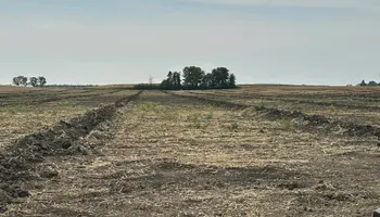 Farm Drainage for Frey Drainage and Excavating in Farmersburg, IN