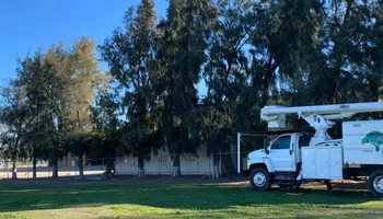 Tree Removal for Lalo's Tree Service in Willows, CA