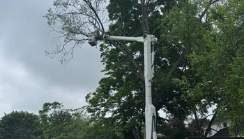 Tree Services for Hennessey Tree & Landscape LLC in Oxford,  CT 