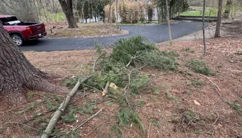 Mulch Installation for Landscape & Lawn Care Pros in Reading, PA