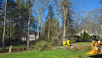 Tree Removal for Huntsville Tree Service in Huntsville, AL