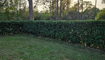 Lawn Care & Maintenance for Above the Lawn Cuts in Sebring, FL
