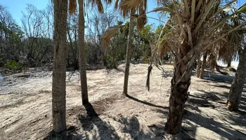 Land Clearing for McLeran in Naples, FL