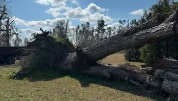 Land Clearing & Demolition for Ewc Land Clearing and more in Lake Park, GA