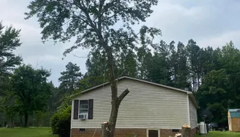 Site Preparation for Site Solutions in Lynchburg, Virginia