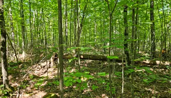 Driveways for T & T Excavating and Property Services in Presque Isle County, MI