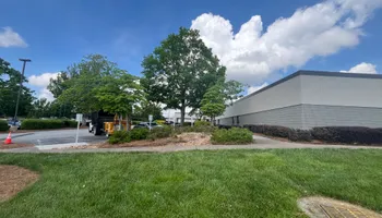 Tree Removal for J&M Stump Grinders LLC in Douglasville, GA
