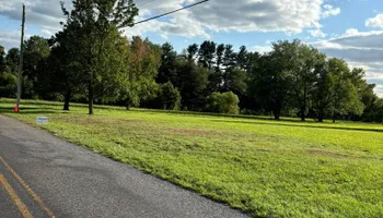 Tree Removal for Melnyk’s Tree Service in Salem County, NJ