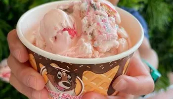 Our Locations for Sweet Pearl's Ice Cream in Garland, TX