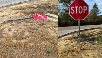 Painting and Drywall for Camalett Services in Perry, GA