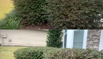 Landscape Maintenance & Mowing Services for Kings Legacy Services in Gainesville ,  FL