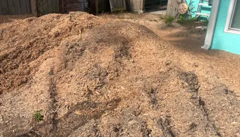 Stump Grinding for Busy Beaver Stump Removal, Inc in Clearwater, FL