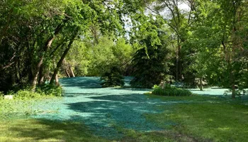Hydroseeding for TS Hydroseeding in Morris,  MN